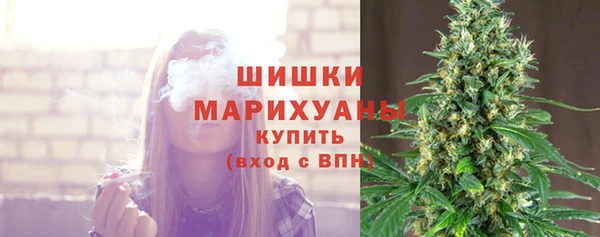 амф Аркадак