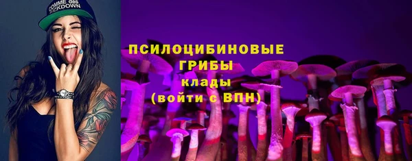стаф Армянск