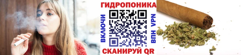 Купить где  Сусуман  МАРИХУАНА MAZAR 